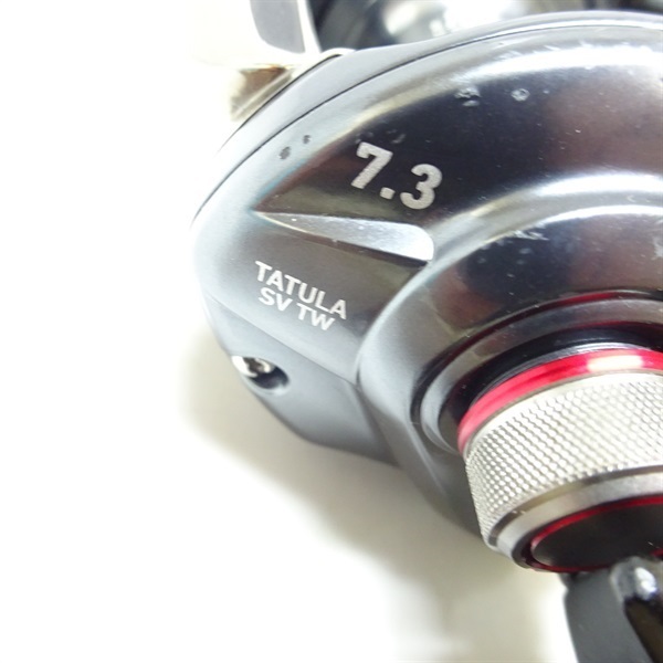 １７タトゥーラＳＶＴＷ７．３右